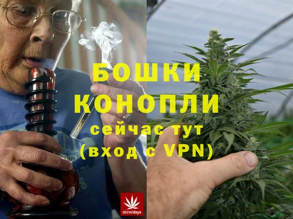 метадон Богданович
