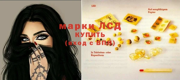 метадон Богданович