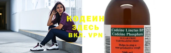 шишки Богородицк