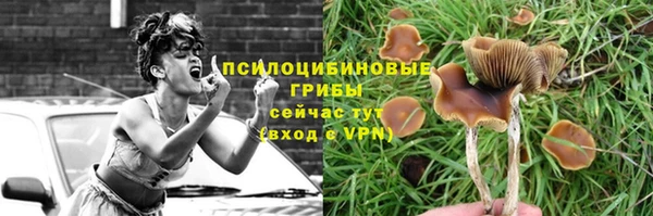 а пвп мука Богородск