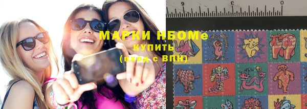 шишки Богородицк