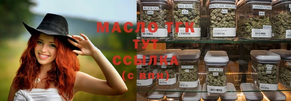 метадон Богданович