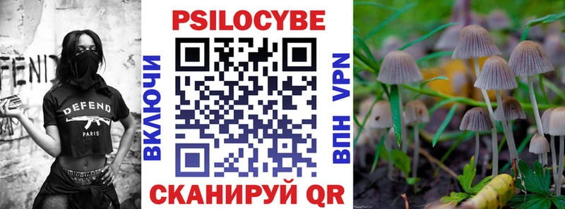 Псилоцибиновые грибы Psilocybe  что такое   Билибино 
